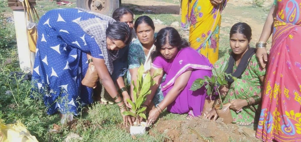 CMSSS Environment Day and Sustainable Farming